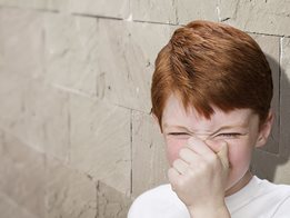 Unpleasant odours in the toilet are a thing of the past