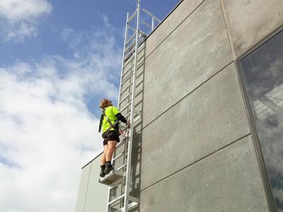 AM-BOSS Fall Protection Ladder Worksite