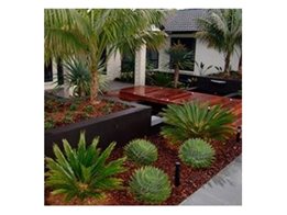 Professional Landscape Solutions from All Shores Landscapes