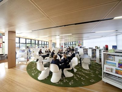 School Library Acoustic Timber Ceiling Tiles