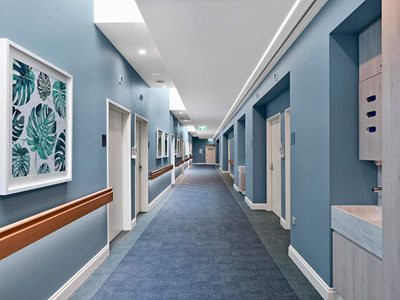 Hospital Interior With Timber Handrails and Blue Walls