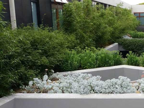 Green roofs are connecting people living in urban environments with nature and the great outdoors