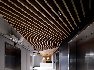A Passion For Timber Ceilings Architecture Design