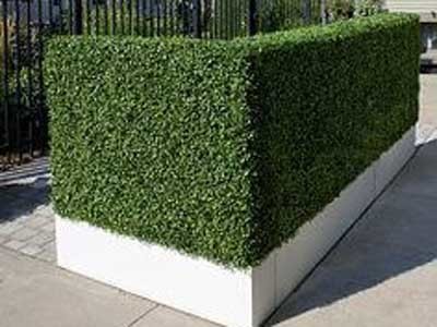 Privacy can be ensured by having a hedge with several layers to fill the gaps