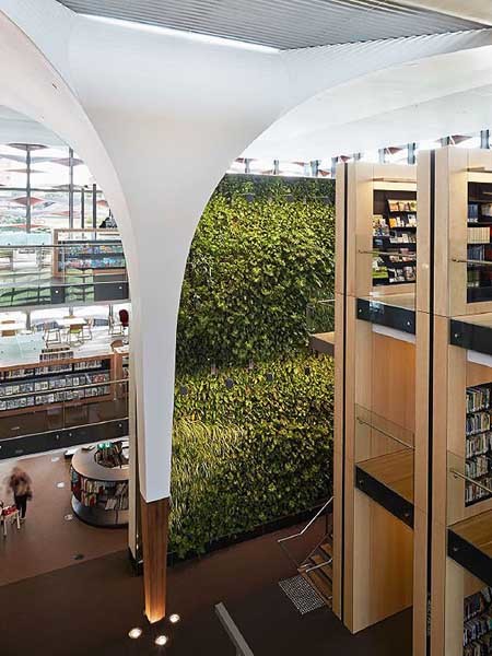 Junglefy provided design inputs for the 9.5m high interior breathing green wall at the award-winning Bankstown Library and Knowledge Centre