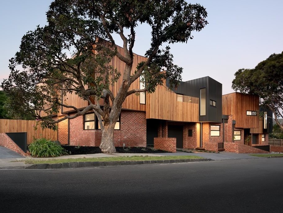 Standards for front and rear setbacks will provide opportunities for tree planting like here at Alphington Townhouses in Victoria by Green Sheep Collective. Photography by Emma Cross
