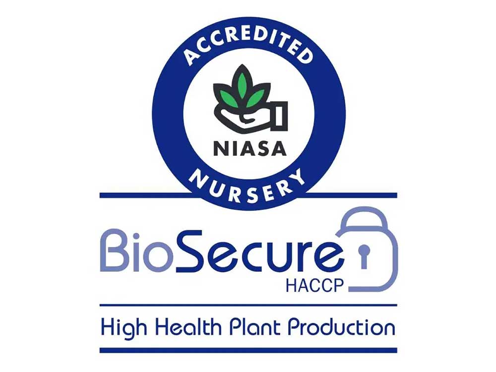 BioSecure HACCP certification 