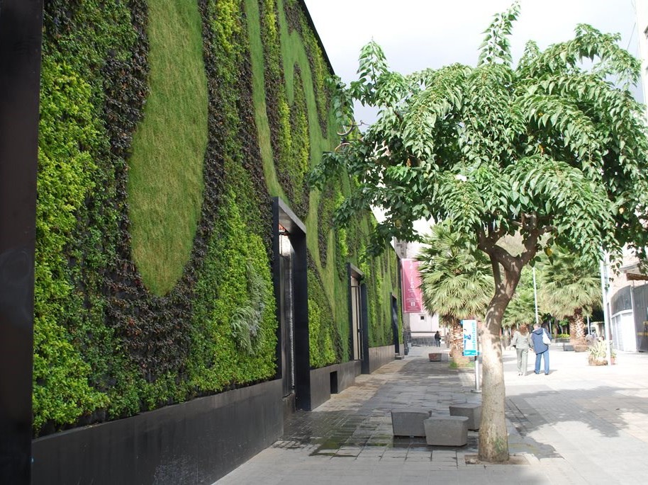 The Infrastructure Australia report made some key recommendations for green infrastructure. Image: EPA
