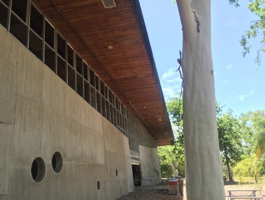 Gumtree Brutalism: the Eddie Koiki Mabo Library (1968), designed by Queensland architect James Birrell, on the James Cook University campus
