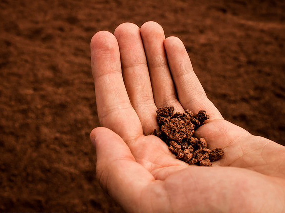 Researchers at Curtin University have found that effective soil carbon management could be the key to combat greenhouse gas emissions and climate change.&nbsp;
