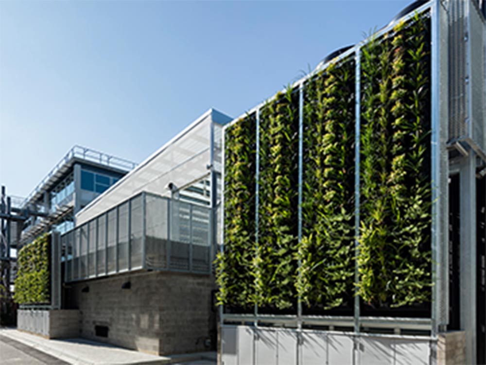 Exterior facade green vertical garden