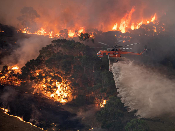 There's only one way to make bushfires less powerful: take out the stuff that burns