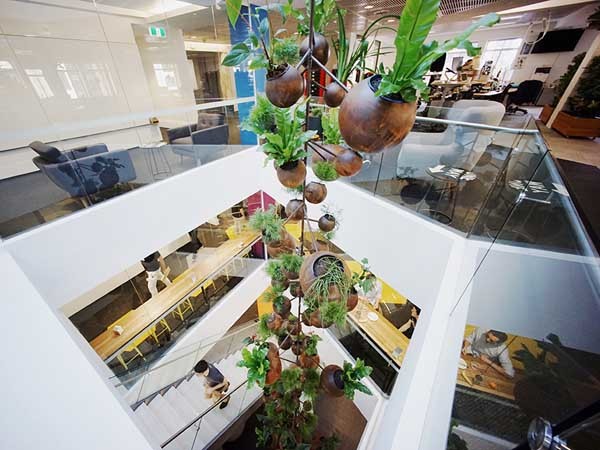 Tensile Suspends Pots With Plants From A High Ceiling In