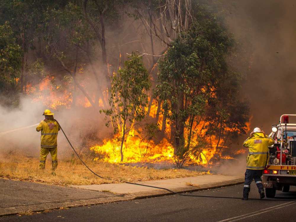 Bushfire