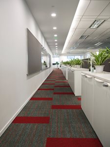 Office interior with Above Left Ebb sustainable carpet