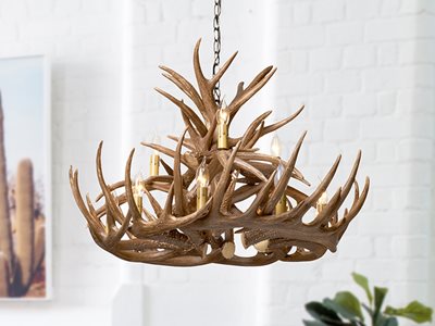Detailed product image of Schots Antler centrepiece light