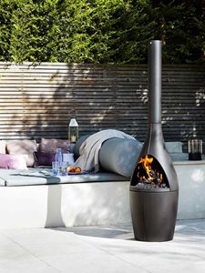 Outdoor Cast Iron Heater and Cooker