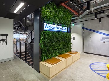 Jungle theme keeps Atlassian offices in the green | Architecture & Design