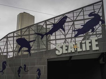 Sea Life Melbourne Aquarium 
