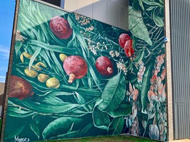 The murals provide images of healing, the importance of family, and local bush food