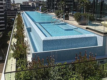 Several green plants add a biophilic connection to the rooftop pool