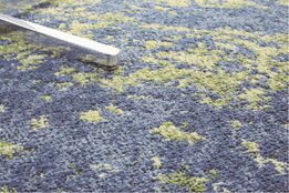 Carpet Tile Range from Nolan Group