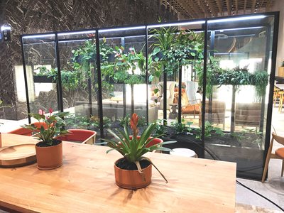 Fytogreen Planter Boxes Angel Place Terrarium