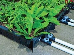 Modular extensive planting tray for rapid growth of green roof systems