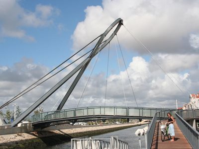Tensile architectural bridge structure