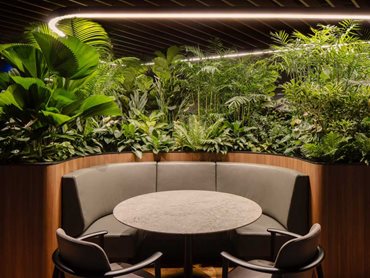 Collaborative spaces fringed with lush greenery