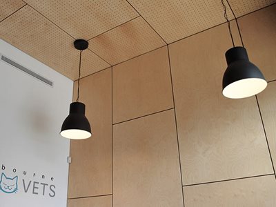 Melbourne Cat Vets Interior Maxi Perforated Panel Ceiling