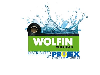 wolfin logo