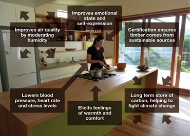 Studies suggest timber contributes to the wellbeing of a building's occupants