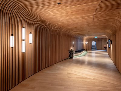 Sculptform Studio Curved Timber Click-on Battens