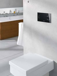 Concealed Cisterns & Flushing Plates from Viega 