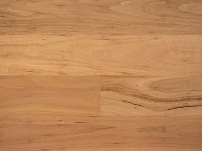 Havwoods Australian Collection Blackbutt Swatch Product Image