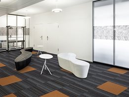 Byline and Zipline Carpet Tiles with EcoSoft ® Backing