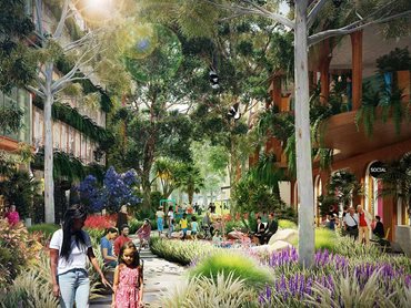 Bradfield City Centre's green loop will feature endemic planting and tell First Nations stories. Image: TURNER