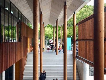 The timber columns support the roof structure of the building 