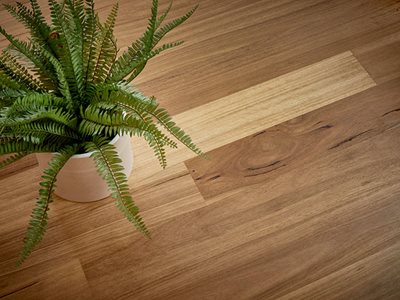 Engineered Timber Flooring Pioneer Brush Blackbutt