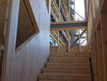 XLam CLT and Laminated Veneer Lumber (LVL) replaced less environment-friendly materials such as concrete and steel