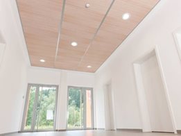 THERMATEX VARIOLINE Ceiling design in a new light