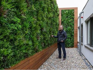 Hedge walls from Evergreen Walls offer a practical alternative to real hedges