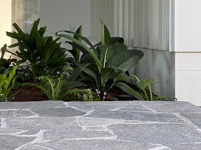 Haus Collective Stone Crazy Paving And Cobblestones Viale Residence