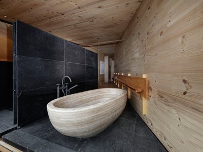 Residential Bathroom Interior Timber Wall Panels