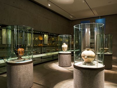 Glasshape BanditShield Auckland Museum