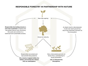 Havwoods Sustainable Timber Flooring Responsible Forestry Infographic