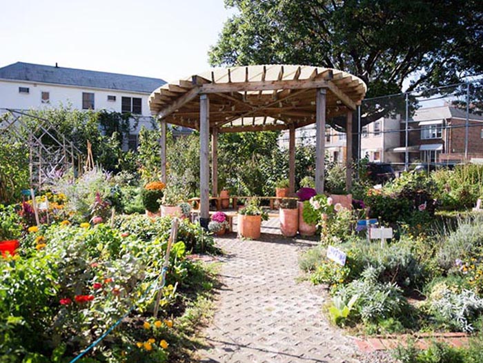 Schoolyard NYC with edible garden