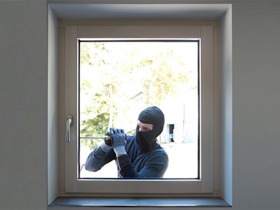 Paarhammer Burglar Protection Window