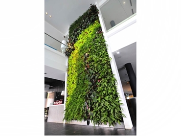 Ecologically friendly green roof systems and green walls